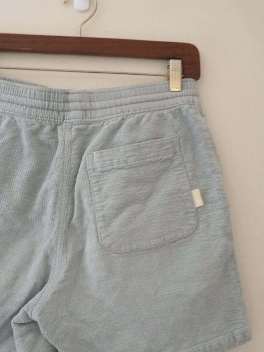 Urban Outfitters Corduroy Volley Shorts sz S